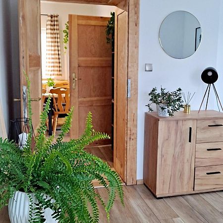 Apartament Dzika Roza Kowary Zewnętrze zdjęcie