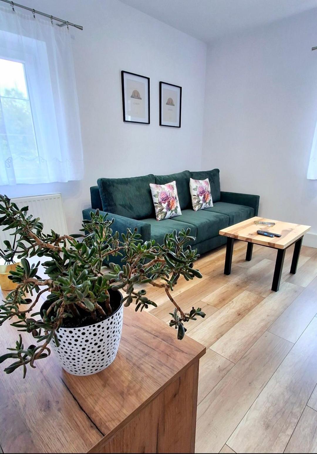 Apartament Dzika Roza Kowary Zewnętrze zdjęcie