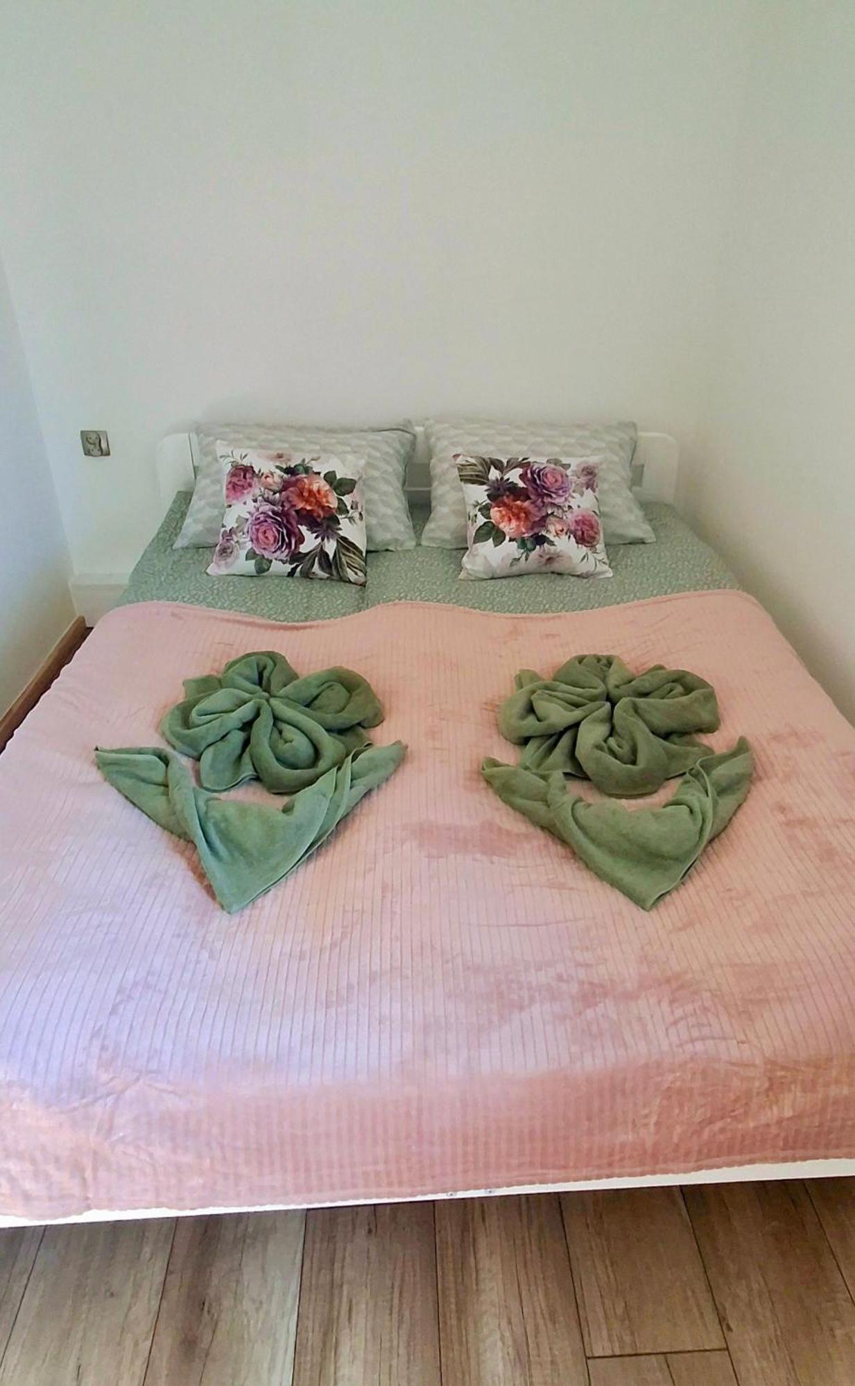 Apartament Dzika Roza Kowary Zewnętrze zdjęcie