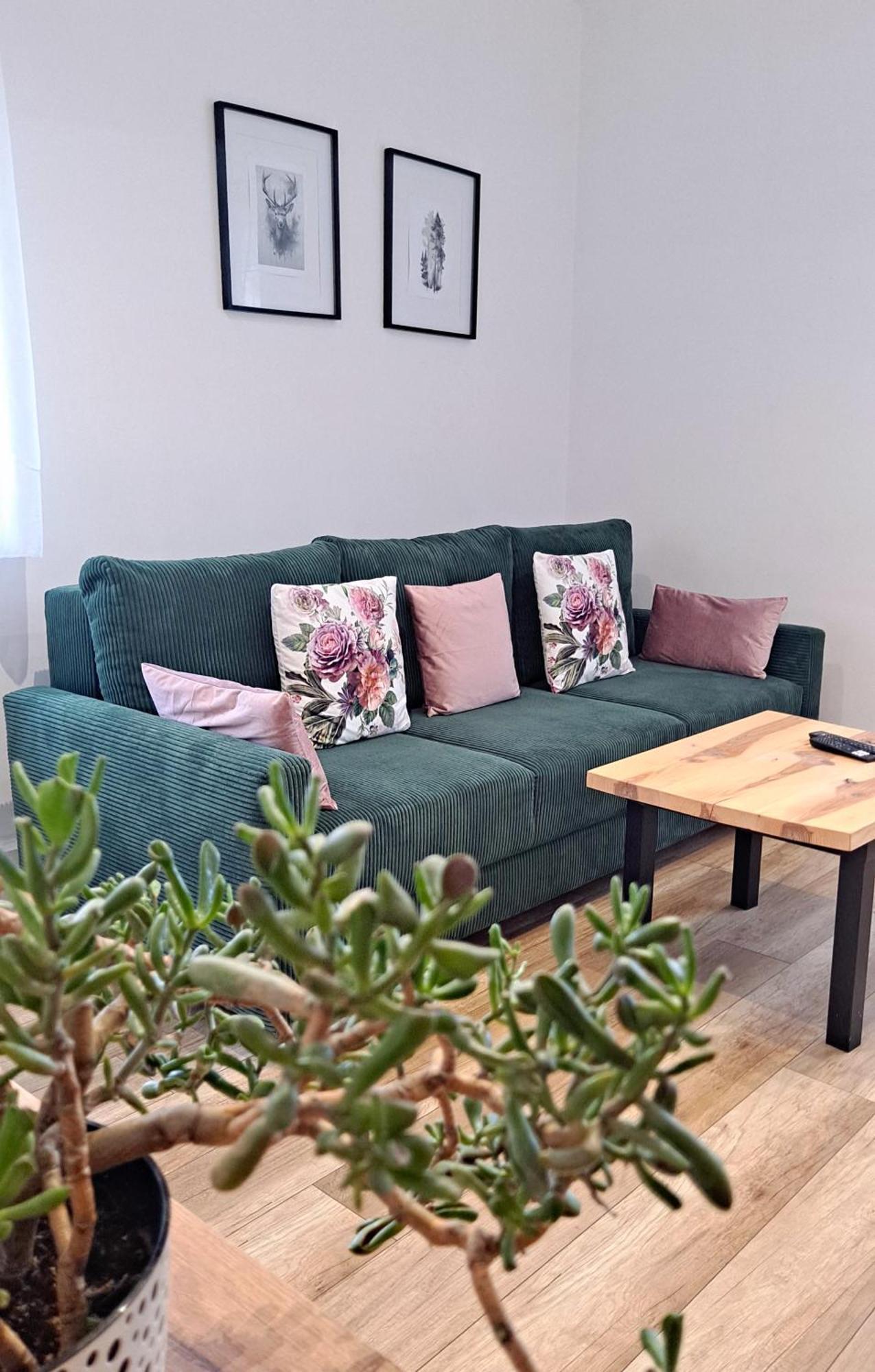 Apartament Dzika Roza Kowary Zewnętrze zdjęcie